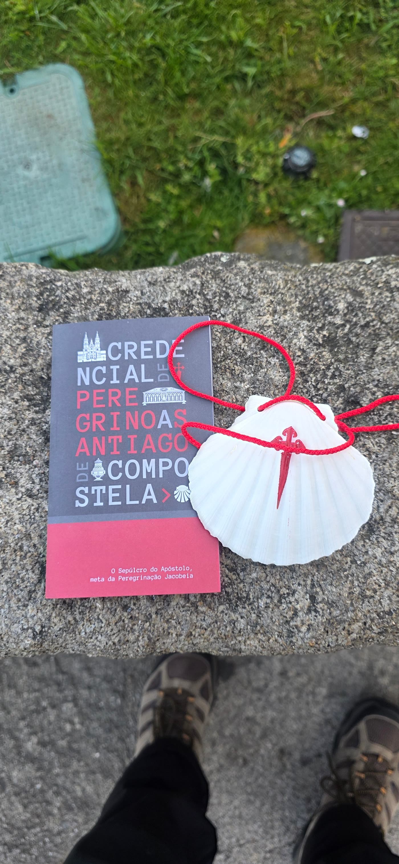 Pilgrim credential and scallop shell, Camino Portugués 2026