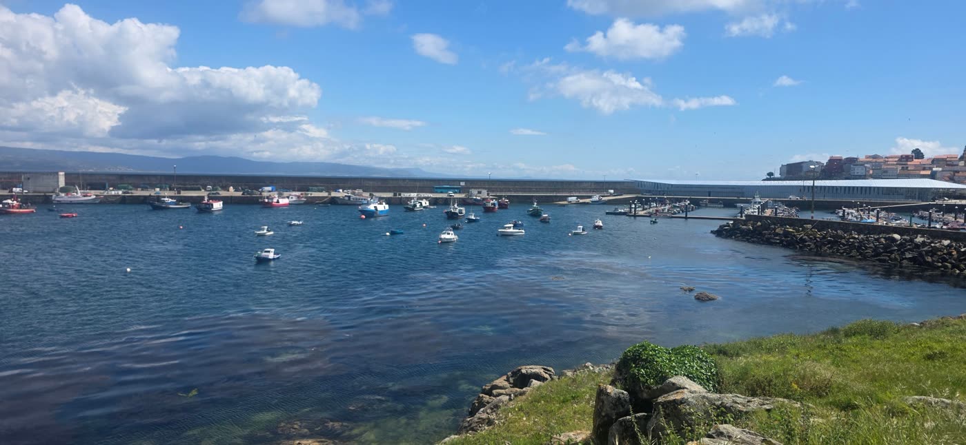 Fishing harbor full of boats